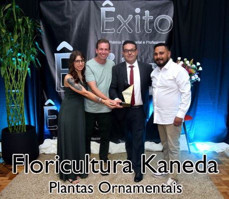 Clique para ver a foto ampliada