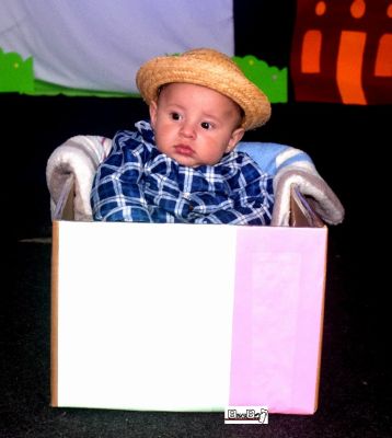 Clique para ver a foto ampliada