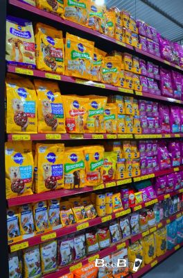 Clique para ver a foto ampliada